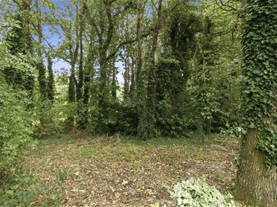 Picture 27